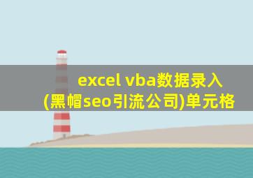 excel vba数据录入(黑帽seo引流公司)单元格